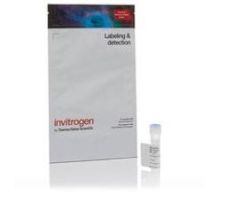 Invitrogen™ Alexa Fluor™ 546 Tyramide Reagent - Thermo Fisher Scientific - Life Sciences