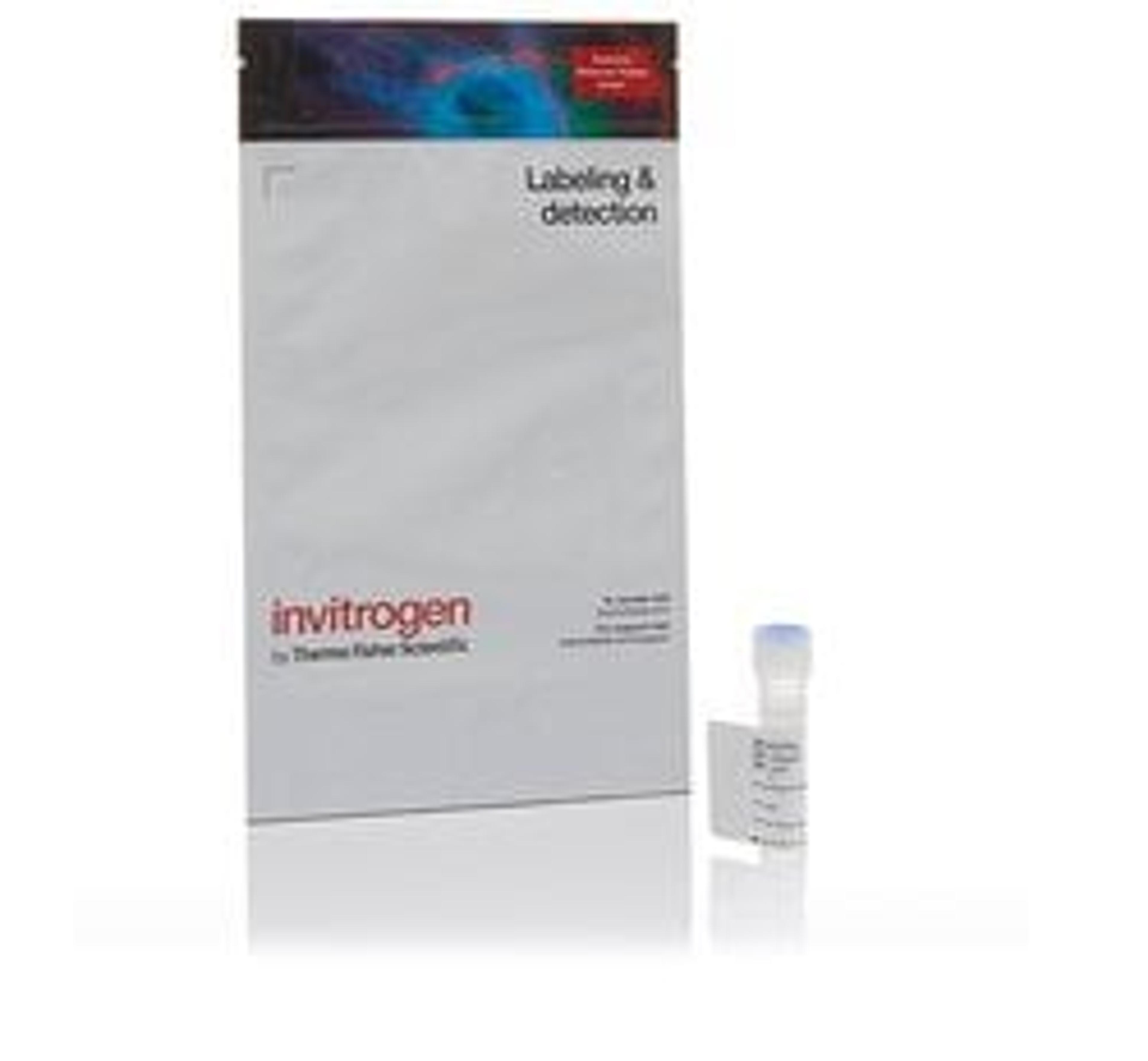 Invitrogen™ Alexa Fluor™ 546 Tyramide Reagent - Thermo Fisher Scientific - Life Sciences