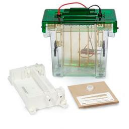 PROTEAN II xi Basic Unit With Casting Stand - Bio-Rad - Life Sciences