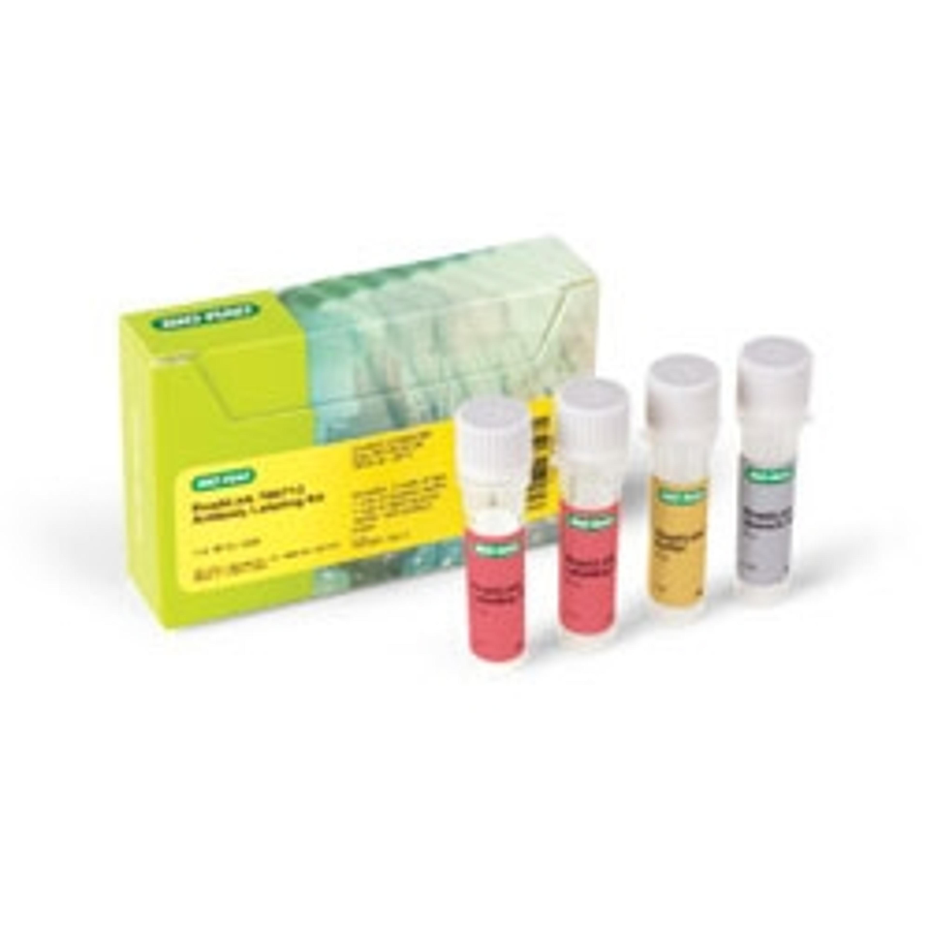 ReadiLink 700/713 Antibody Labeling Kit - Bio-Rad - Life Sciences