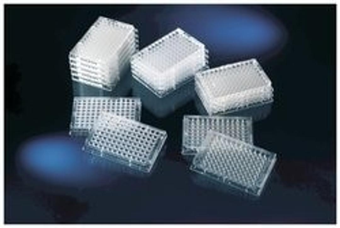 Clear Flat-Bottom Immuno Nonsterile 96-Well Plates - Thermo Fisher Scientific - Clinical Diagnostics