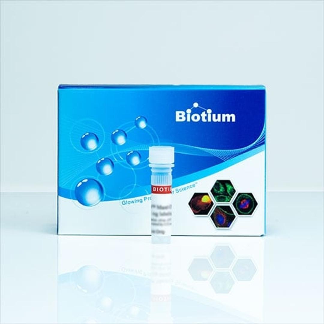 NucSpot Nuclear Stains - Biotium - Life Sciences