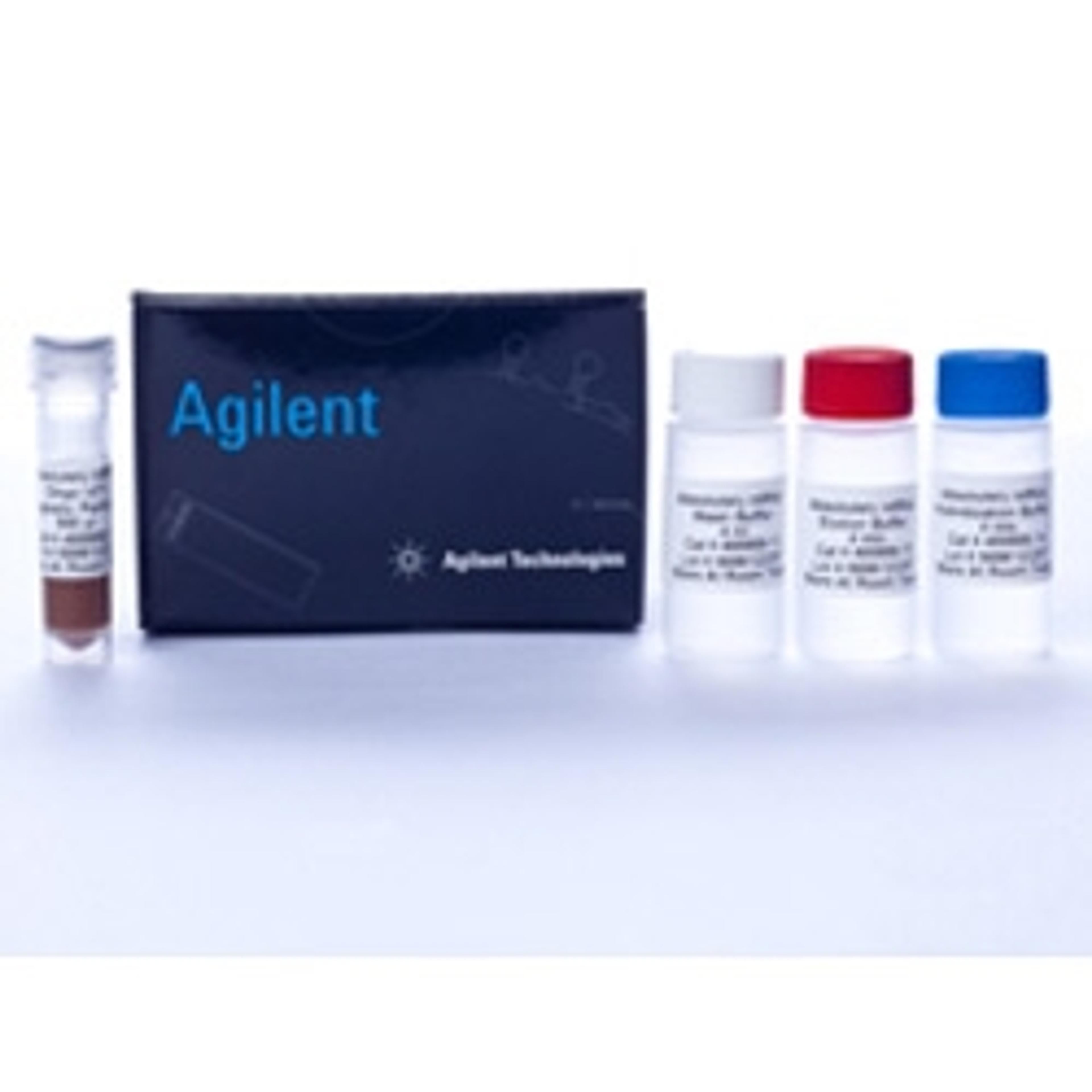 Absolutely mRNA Purification Kit - Agilent Technologies - Life Sciences