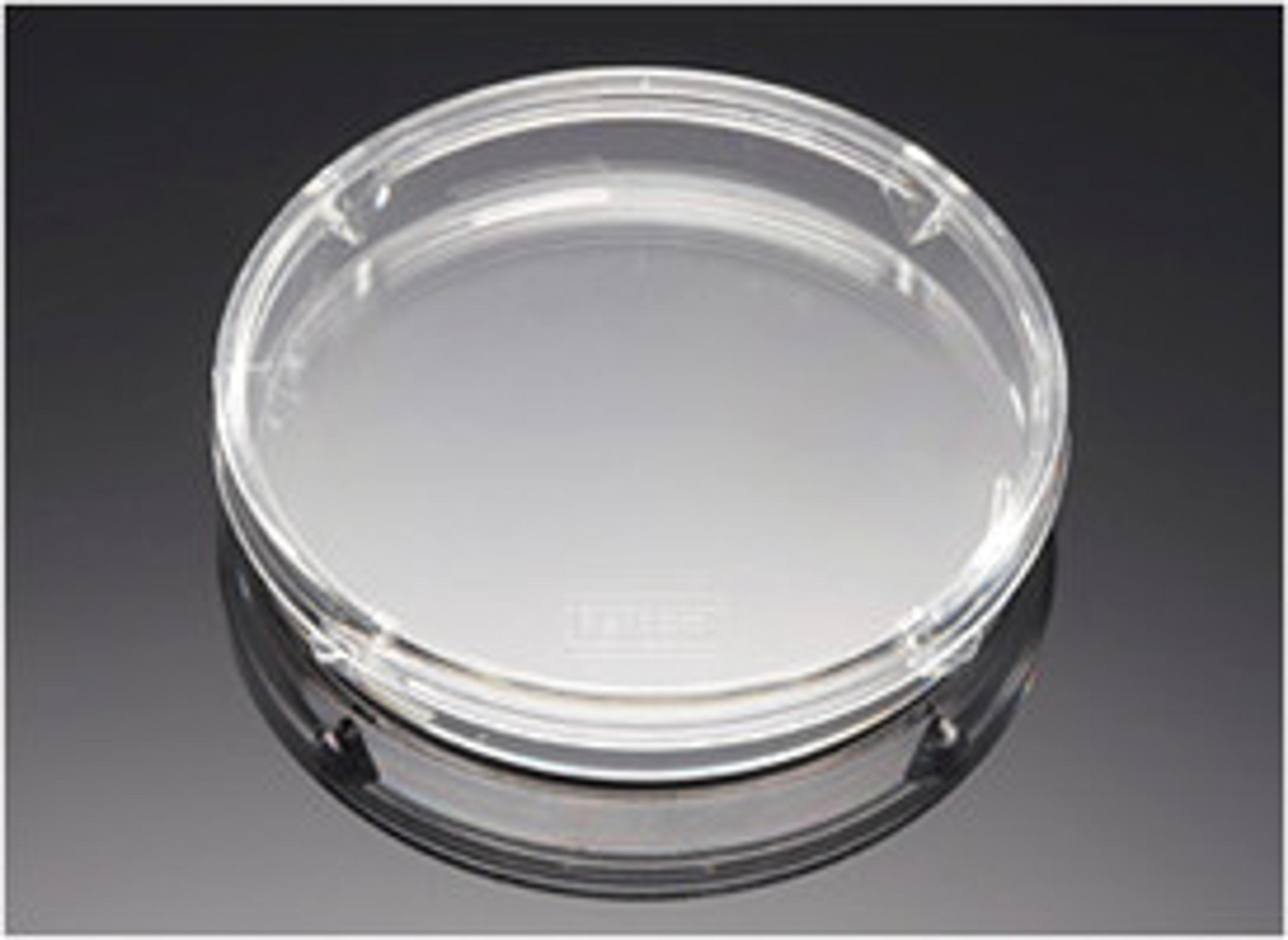 Falcon® 50 mm x 9 mm Not TC-treated Tight-fit Lid Style Bacteriological Petri Dish, 20/Pack, 500/Case, Sterile - Corning Life Sciences - General Lab