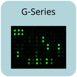 Human Cytokine Array G5 - RayBiotech Inc. - Life Sciences