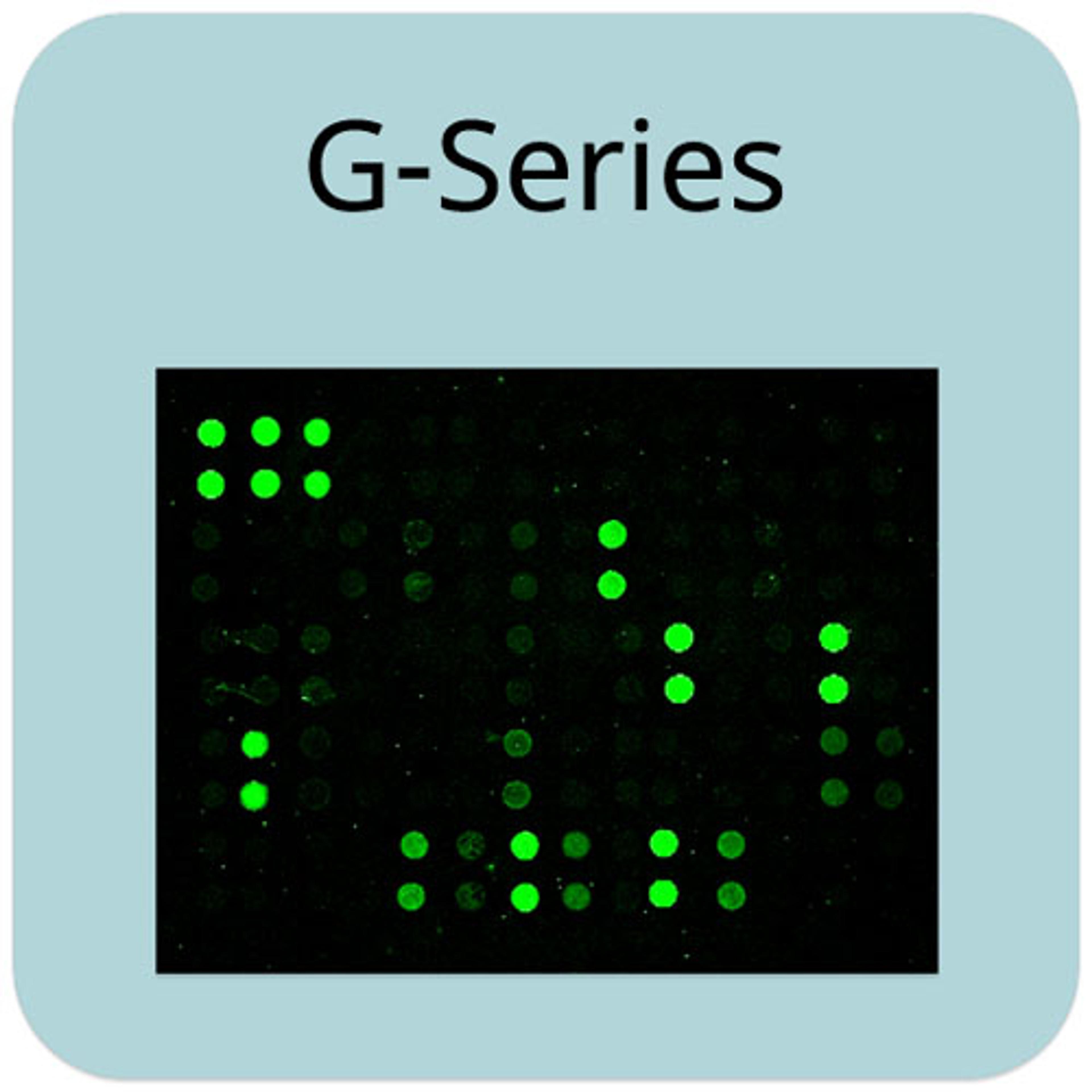 Human Cytokine Array G5 - RayBiotech Inc. - Life Sciences