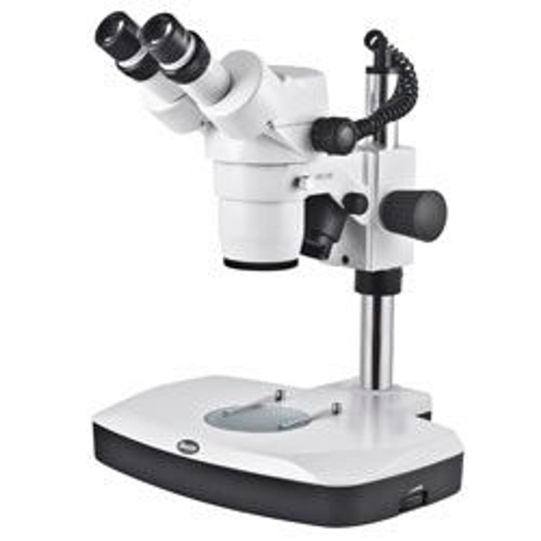 SMZ168 Series - Versatile Stereo Microscope Solution - Motic Europe - Life Sciences