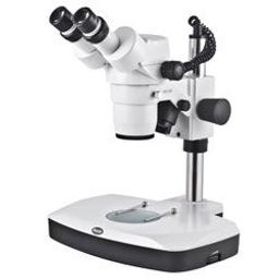 SMZ168 Series - Versatile Stereo Microscope Solution - Motic Europe - Life Sciences