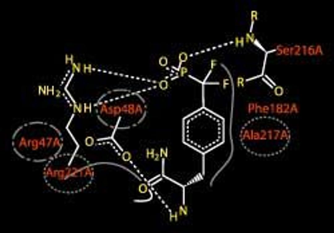 GQSAR - VLife Sciences Technologies Pvt. Ltd. - Lab Informatics