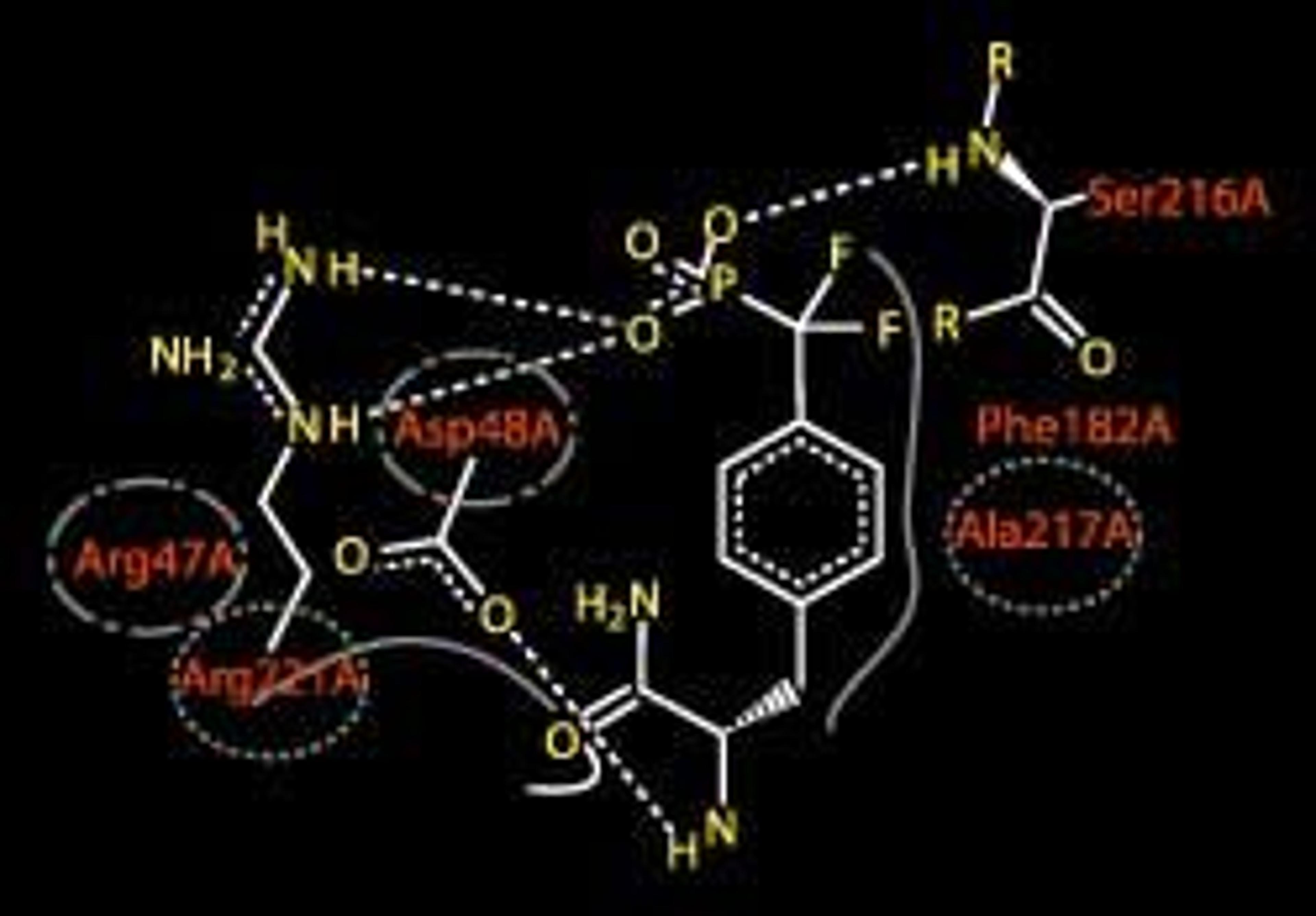 SCOPE - VLife Sciences Technologies Pvt. Ltd. - Drug discovery > Target Discovery