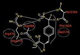 GQSAR - VLife Sciences Technologies Pvt. Ltd. - Lab Informatics