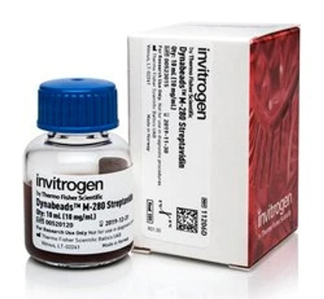 Invitrogen™ Dynabeads™ M-280 Streptavidin - Thermo Fisher Scientific - Life Sciences