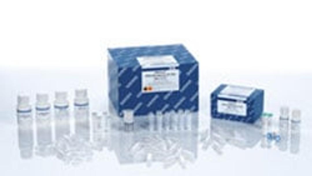 QIAamp DNA Microbiome Kit (50) - QIAGEN