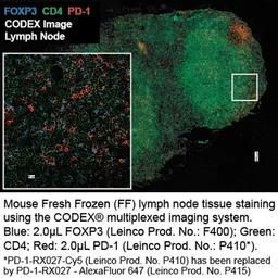 Anti-Mouse PD-1 - Leinco Technologies - Life Sciences