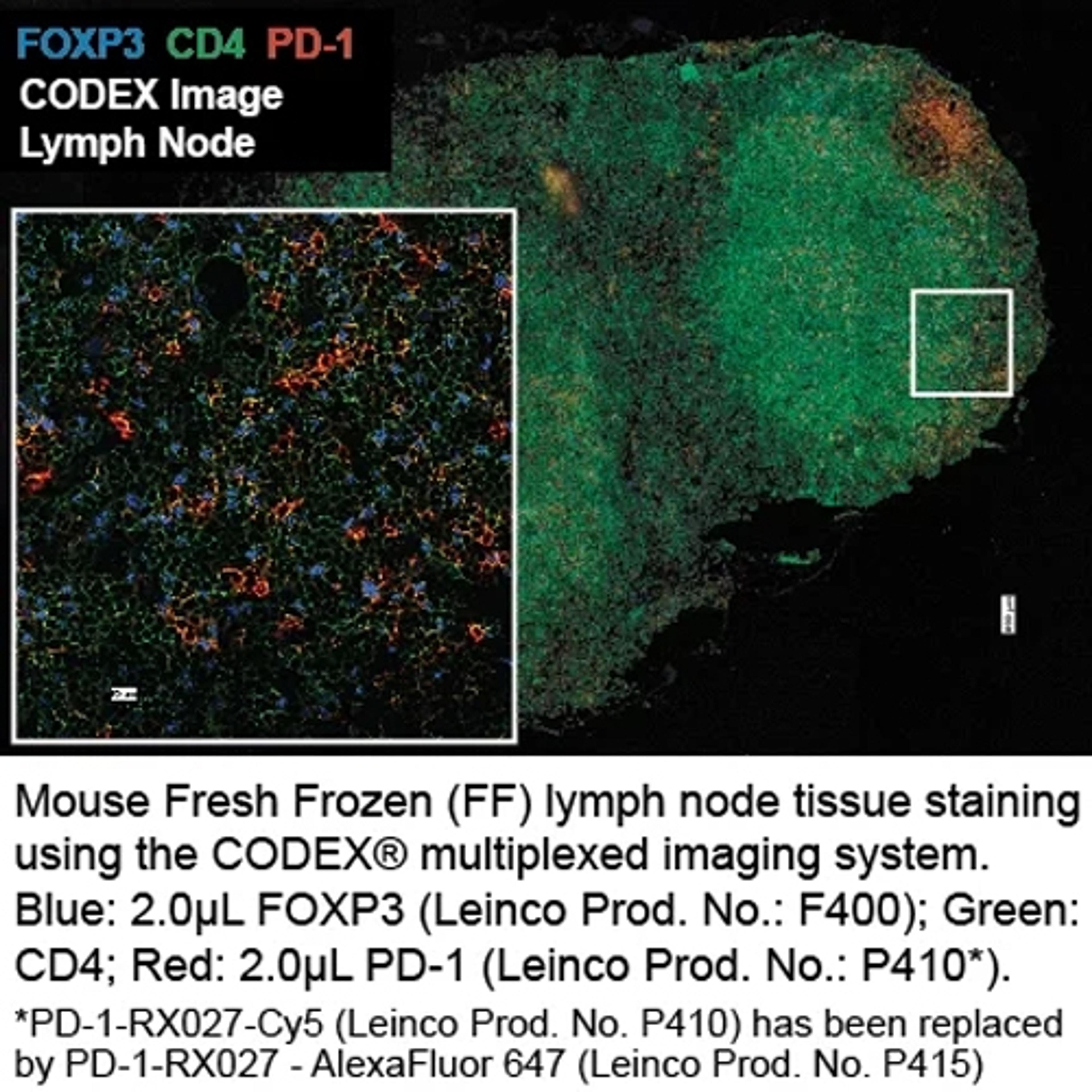 Anti-Mouse PD-1 - Leinco Technologies - Life Sciences