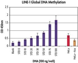 Global DNA Methylation Assay–LINE-1 - Active Motif - Life Sciences