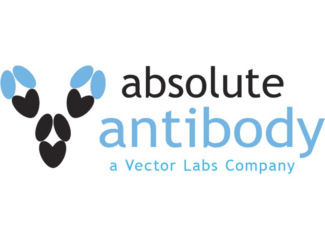 Anti-Virus Antibodies - Absolute Antibody - Life Sciences