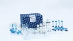 DNeasy PowerMax Soil Kit (10) - QIAGEN