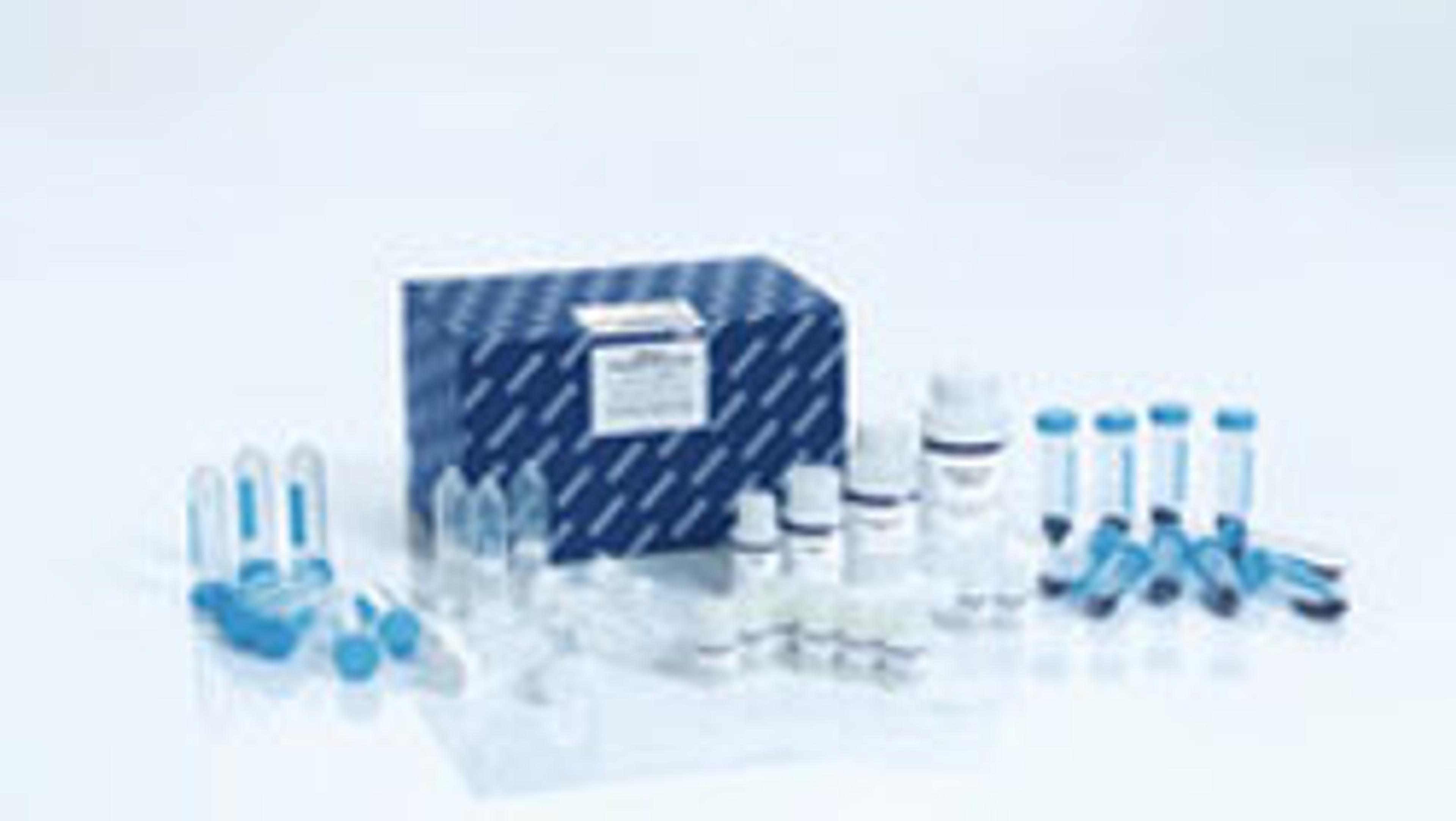 DNeasy PowerMax Soil Kit (10) - QIAGEN