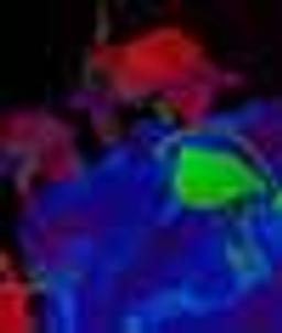 CRI Multispectral Imaging System - L.O.T. - Oriel Ltd