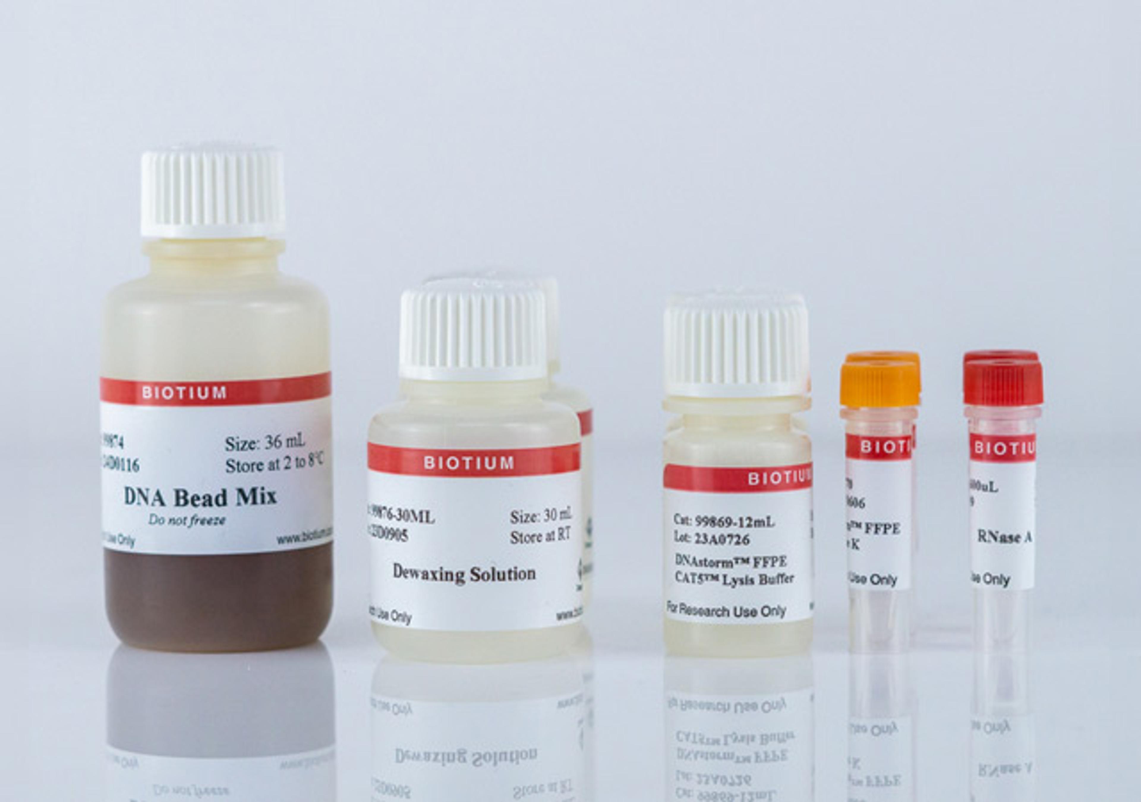 CELLDATA DNAstorm™ 2.0 MagBead FFPE DNA Extraction Kit - Biotium - Life Sciences