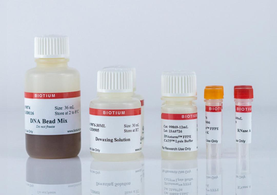 CELLDATA DNAstorm™ 2.0 MagBead FFPE DNA Extraction Kit - Biotium - Life Sciences