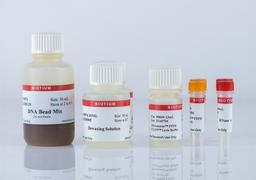 CELLDATA DNAstorm™ 2.0 MagBead FFPE DNA Extraction Kit - Biotium - Life Sciences