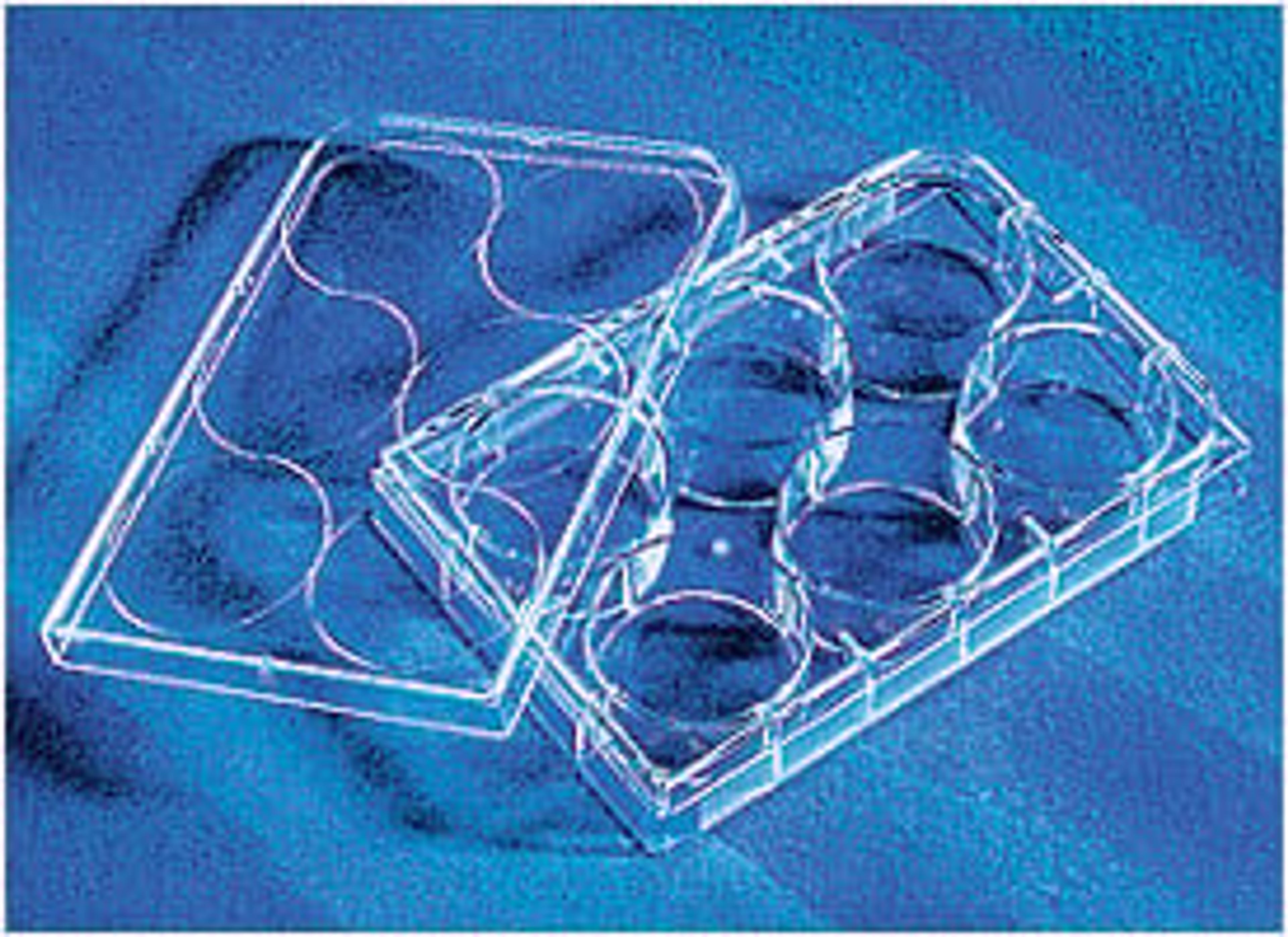 Corning® CellBIND® 6-well Clear Multiple Well Plates, Flat Bottom, with Lid, Sterile - Corning Life Sciences - Life Sciences