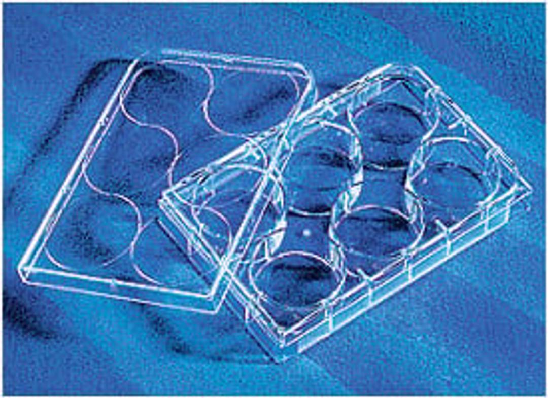 Corning® CellBIND® 6-well Clear Multiple Well Plates, Flat Bottom, with Lid, Sterile - Corning Life Sciences - Life Sciences
