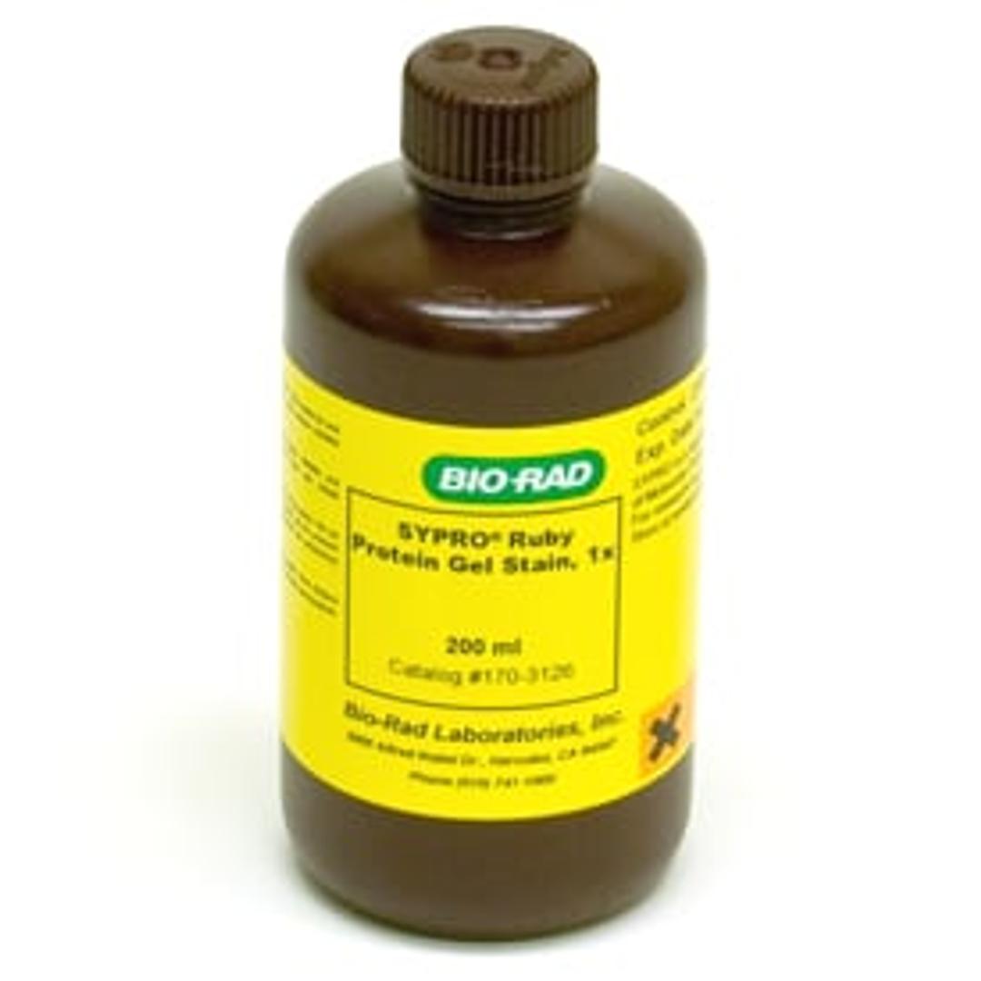 SYPRO Ruby Protein Gel Stain, 200 ml - Bio-Rad - Life Sciences