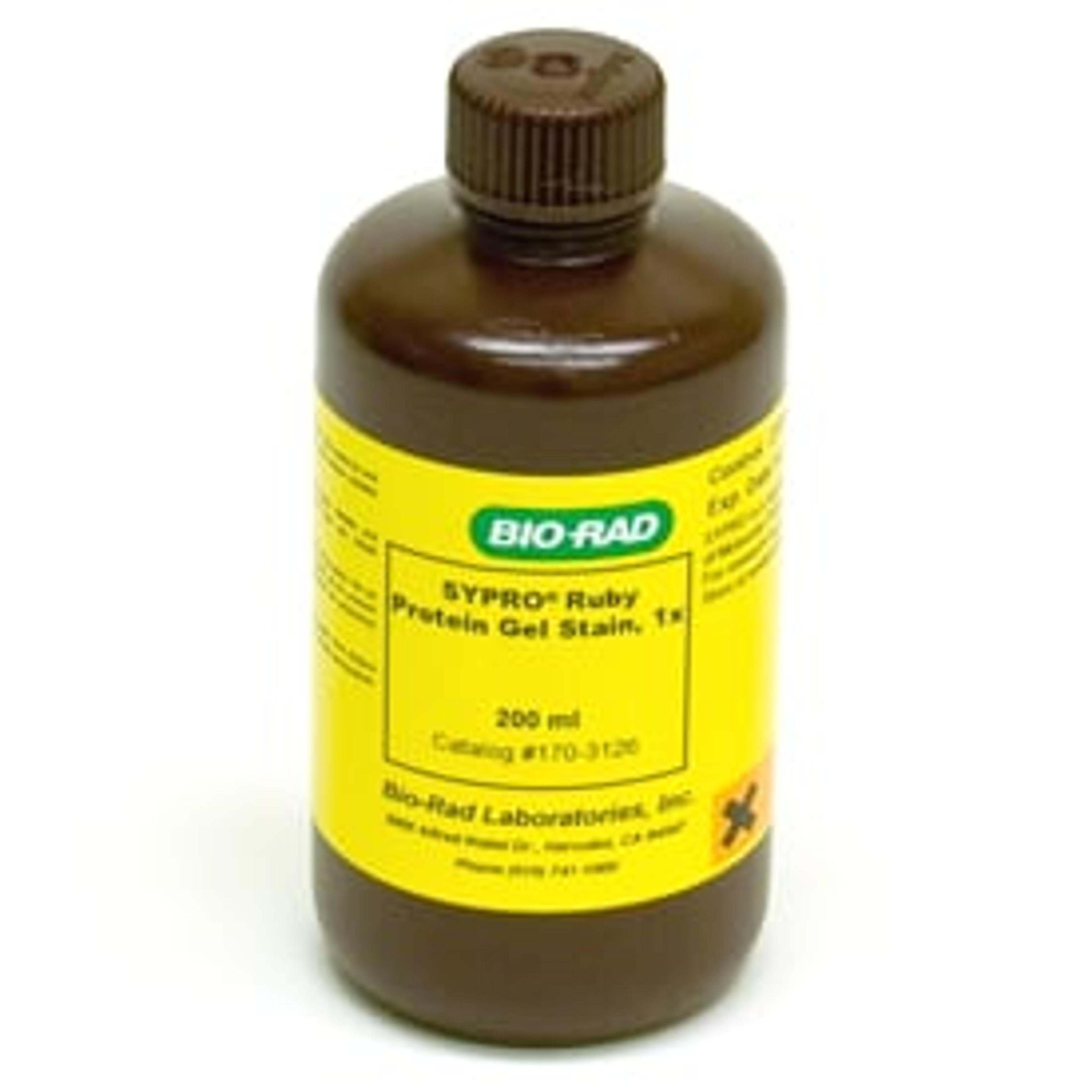 SYPRO Ruby Protein Gel Stain, 200 ml - Bio-Rad - Life Sciences