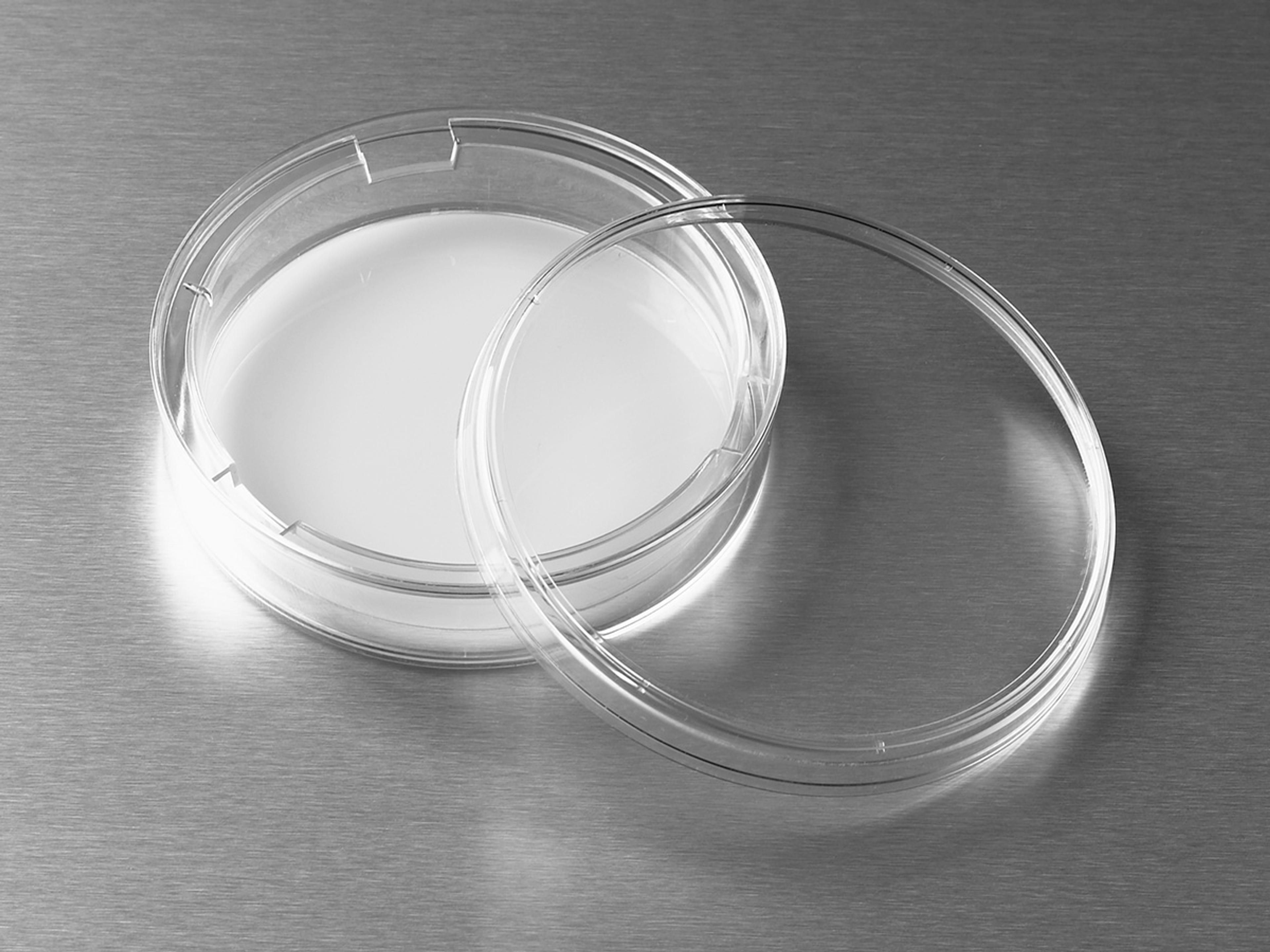 75 mm Transwell® with 3.0 µm Pore Polycarbonate Membrane Insert, Sterile - Corning Life Sciences - Life Sciences
