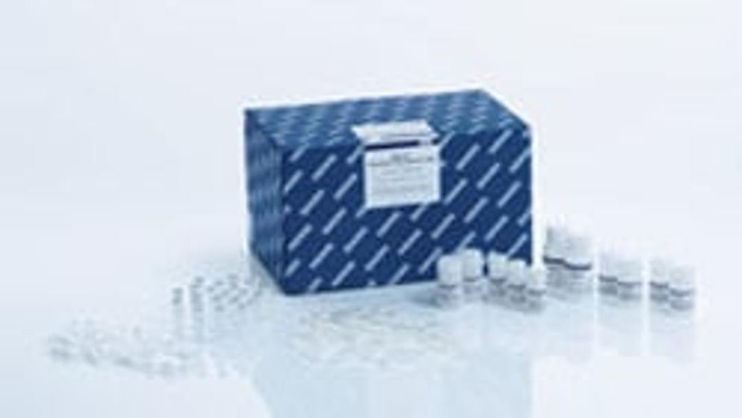 DNeasy PowerFood Microbial Kit (100) - QIAGEN