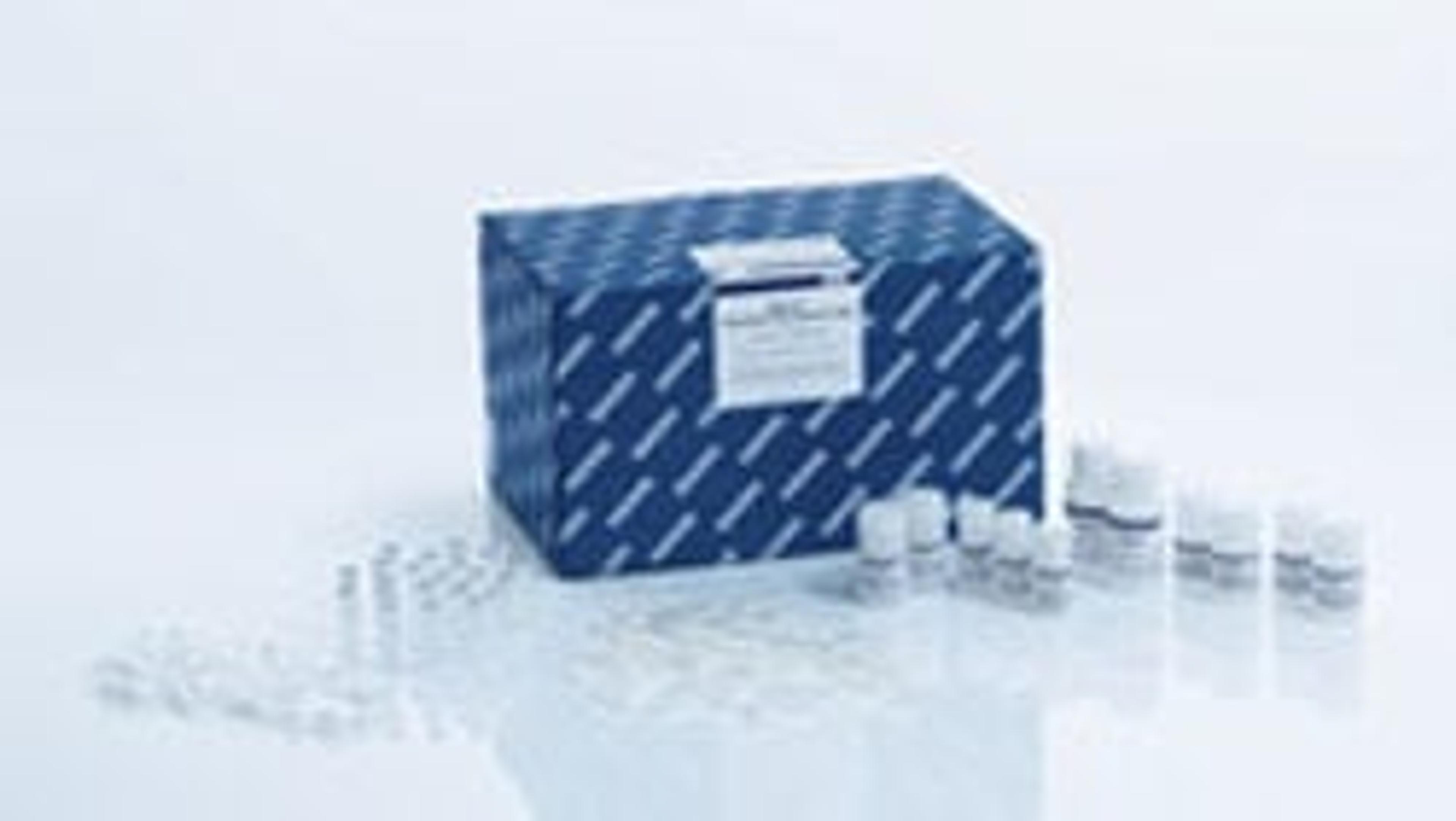 DNeasy PowerFood Kit, 2 ml tubes (100) - QIAGEN