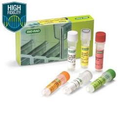 iScript™ Select cDNA Synthesis Kit, 25 x 20 µl rxns - Bio-Rad - Life Sciences