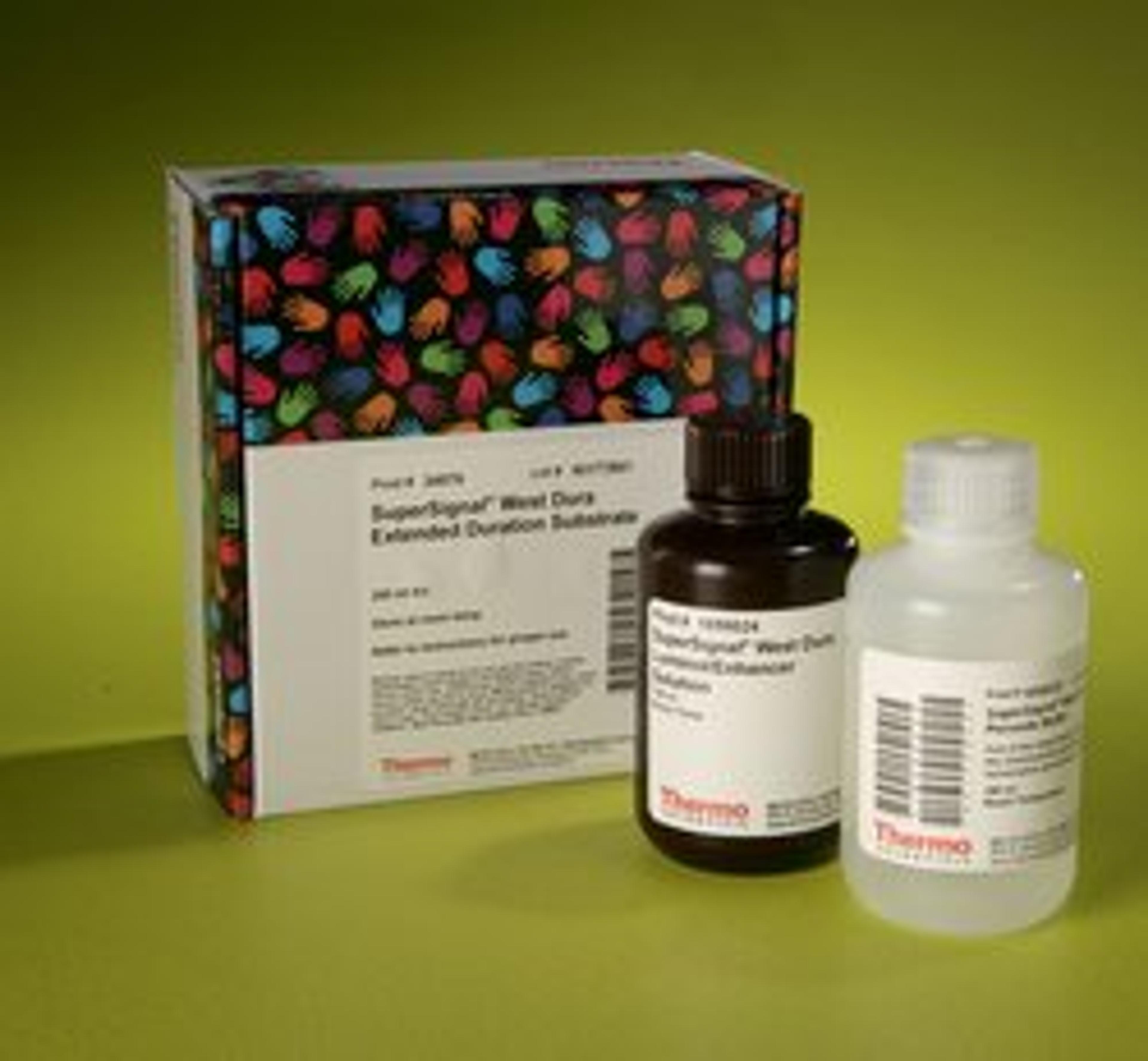 Thermo Scientific™ SuperSignal™ West Dura Extended Duration Substrate - Thermo Fisher Scientific - Life Sciences