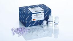 GeneRead Size Selection Kit (50) - QIAGEN