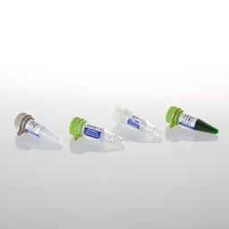 GoTaq® MDx Hot Start Polymerase - Promega Corp. - Life Sciences