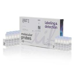 Invitrogen™ MitoTracker™ Red FM - Special Packaging - Thermo Fisher Scientific - Life Sciences