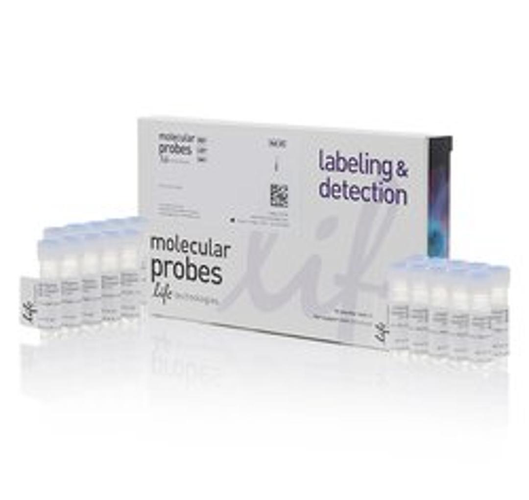 Invitrogen™ MitoTracker™ Red FM - Special Packaging - Thermo Fisher Scientific - Life Sciences