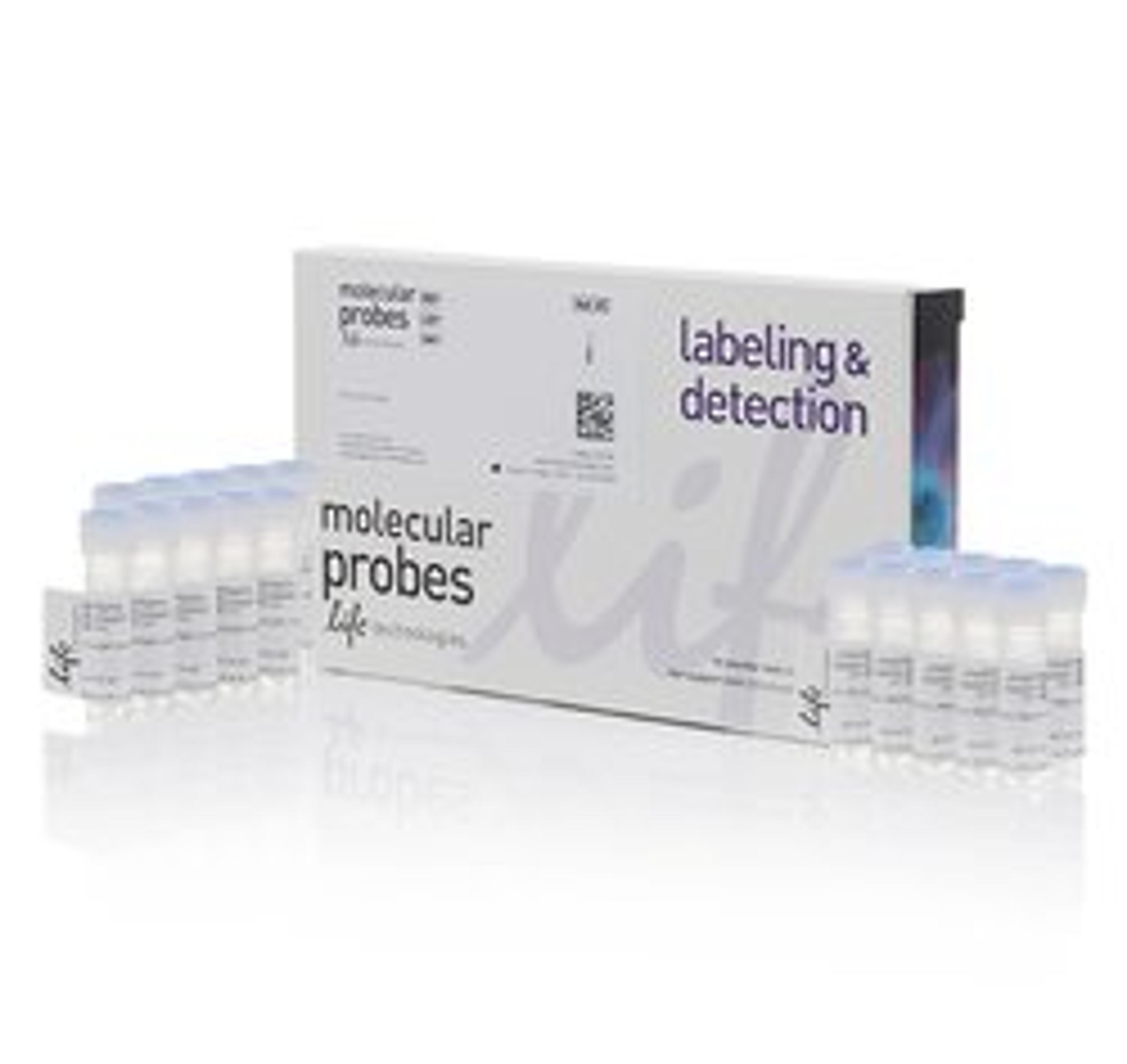 Invitrogen™ MitoTracker™ Red FM - Special Packaging - Thermo Fisher Scientific - Life Sciences