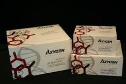 AxyPrep™ Blood Genomic DNA Maxiprep Kit - Axygen Scientific, Inc. - Life Sciences
