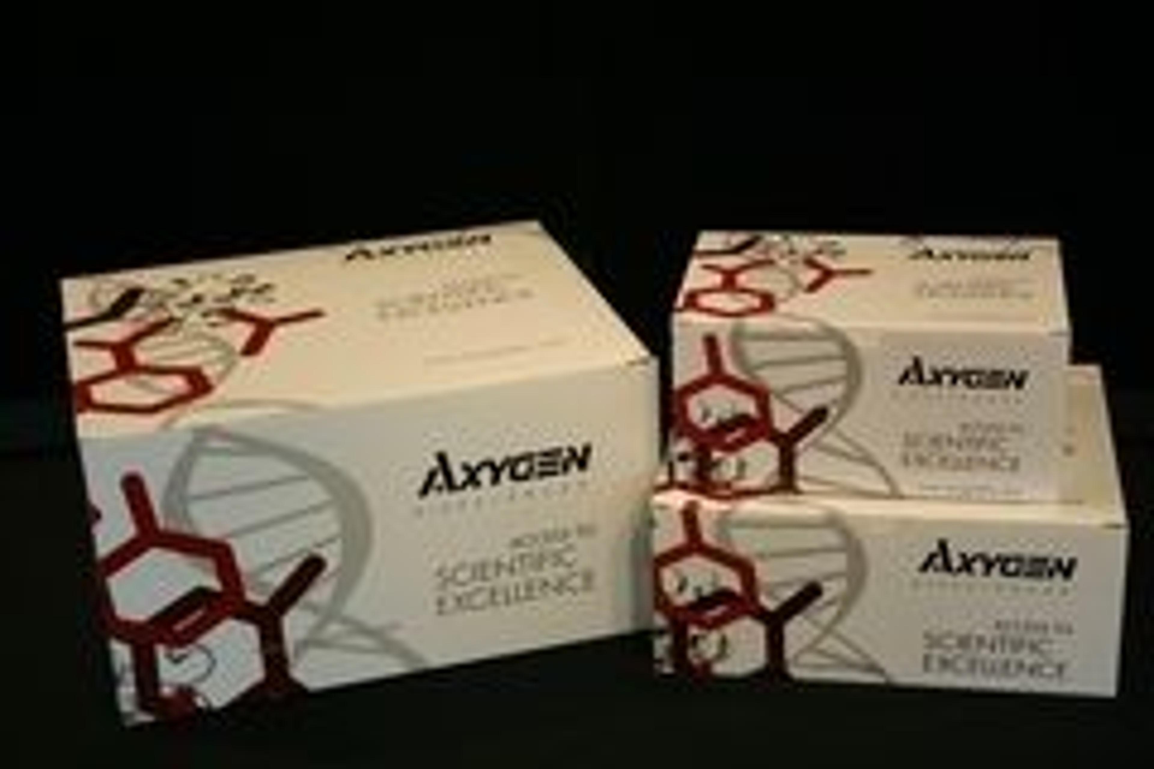 AxyPrep™ Blood Genomic DNA Maxiprep Kit - Axygen Scientific, Inc. - Life Sciences