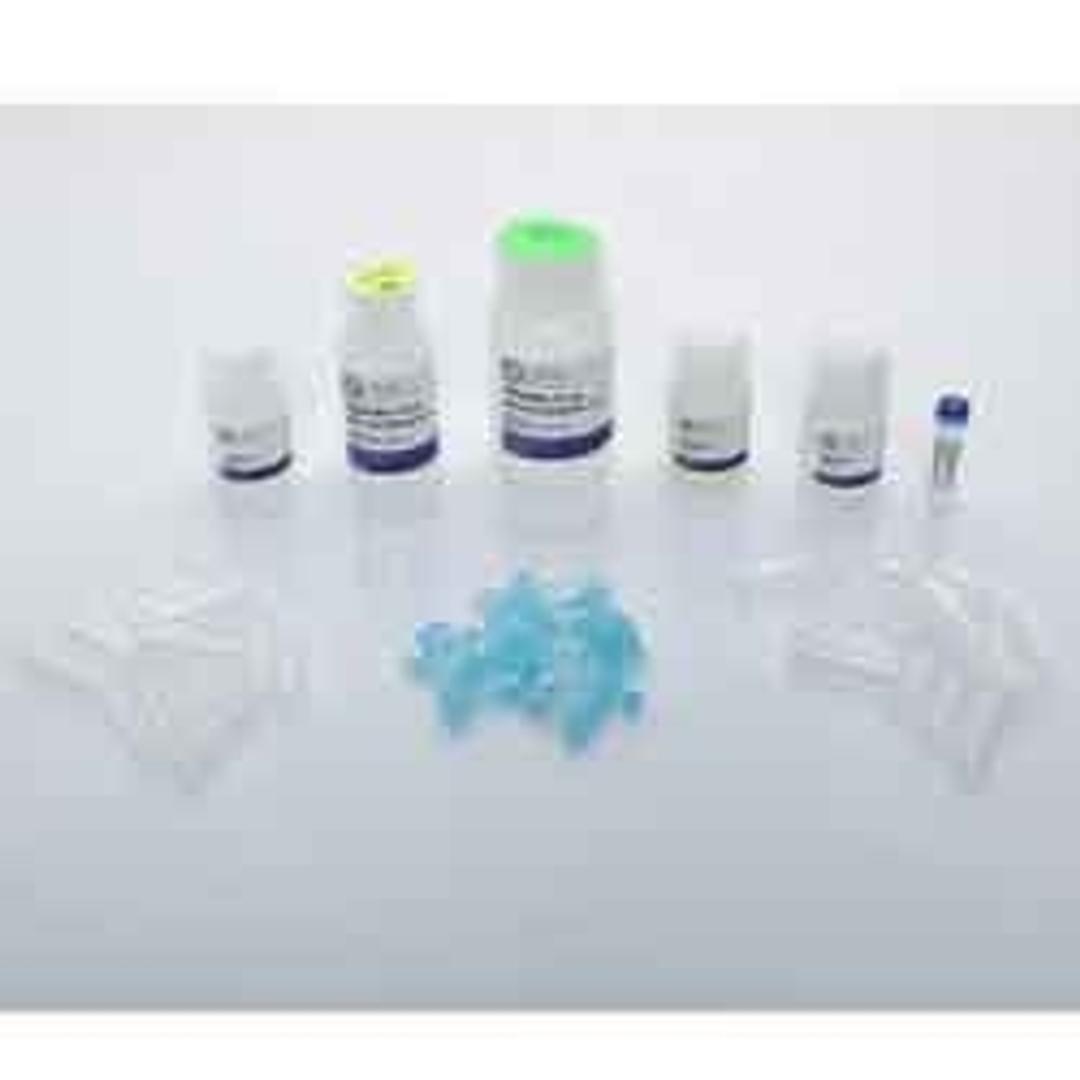 Tissue DNA Kit - OMNI International Inc. - Life Sciences
