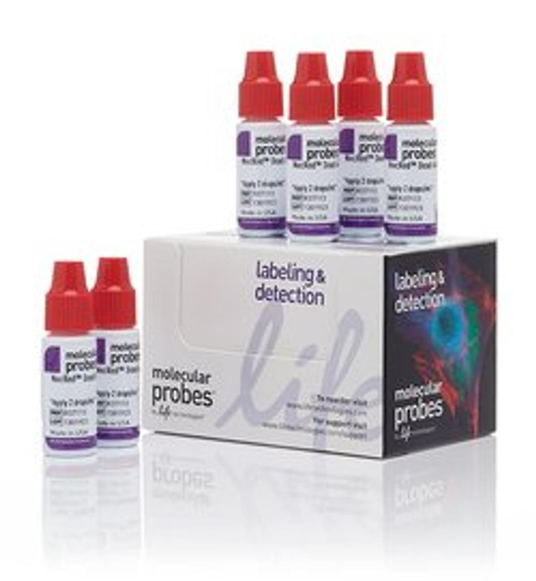 Invitrogen™ NucRed™ Dead 647 ReadyProbes™ Reagent - Thermo Fisher Scientific