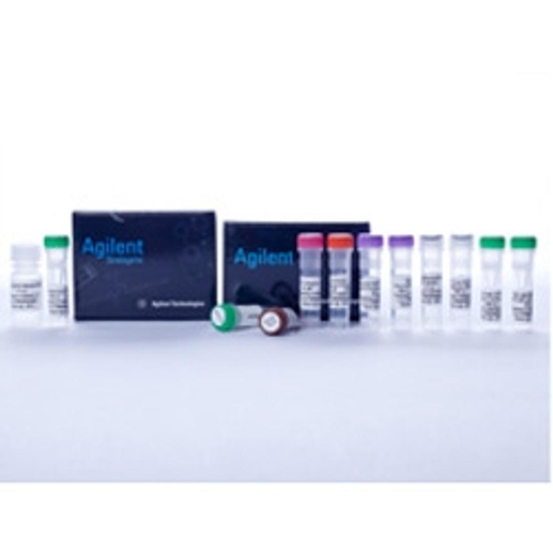 High-Specificity miRNA QRT-PCR Detection Kit - Agilent Technologies - Life Sciences
