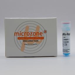 MegaMix Royal - Microzone - Forensics