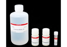 AccuGreen™ High Sensitivity dsDNA Quantitation Kit - Biotium - Life Sciences