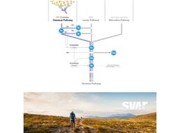Wieslab® Complement Classical Pathway (RUO & IVD*) - Svar Life Science AB - Life Sciences