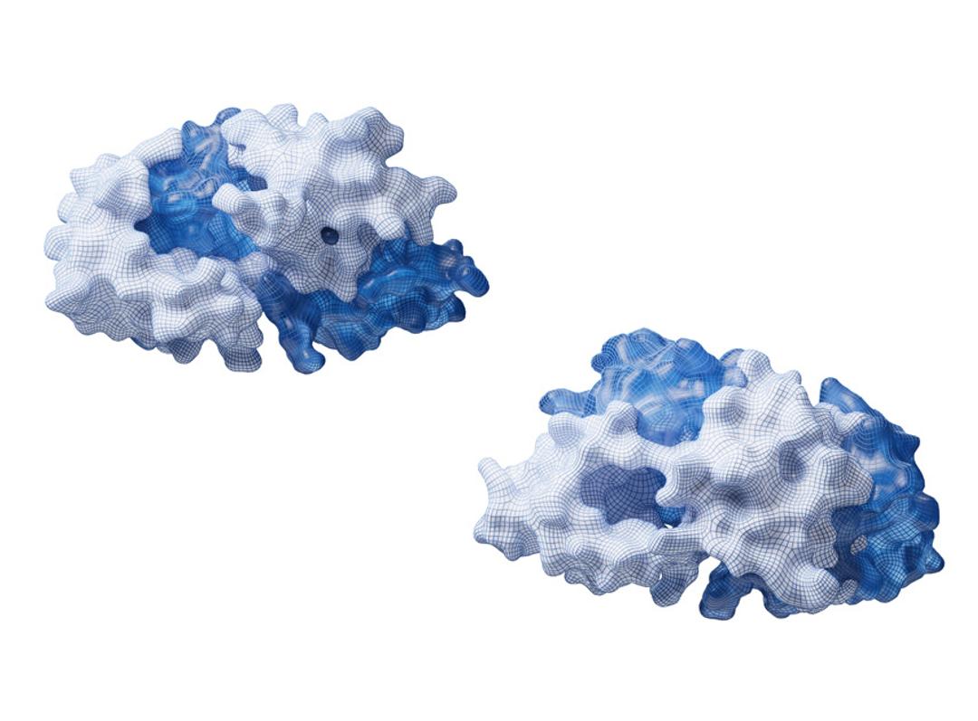 Membrane-Based Yeast Two-Hybrid System